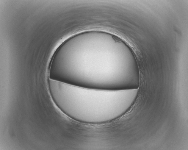 X0000116611527200912110950
