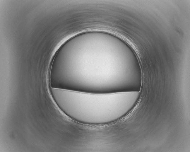 X0000116611533200912110950