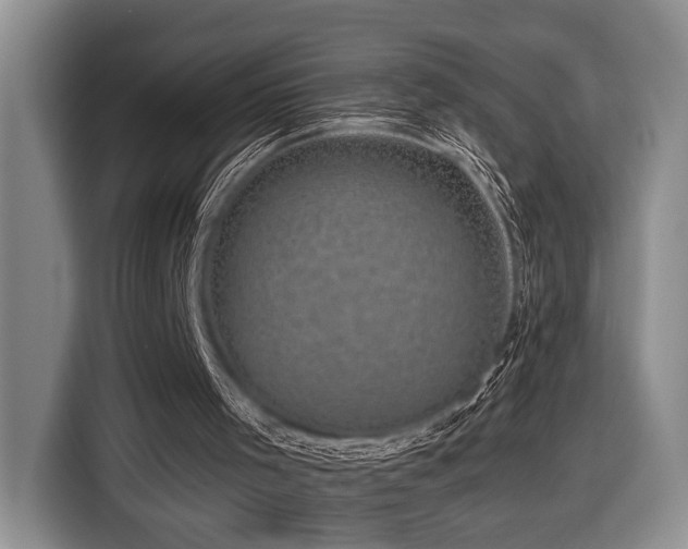 X0000116610001200912111143