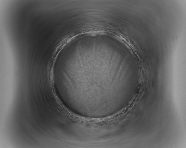X0000116610002200912111143