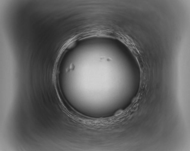 X0000116610003200912111143