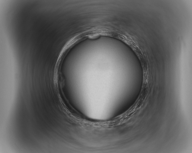 X0000116610004200912111143