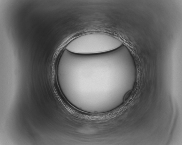 X0000116610005200912111143