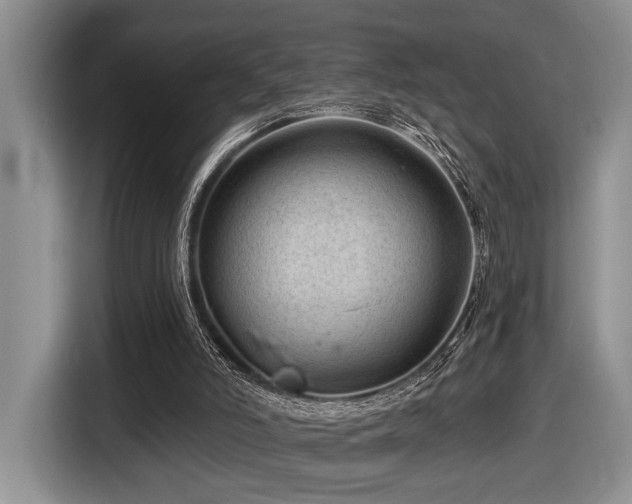 X0000116610006200912111143