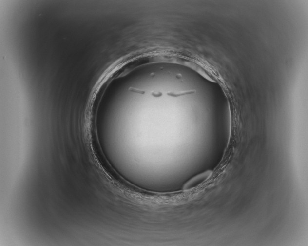 X0000116610007200912111143