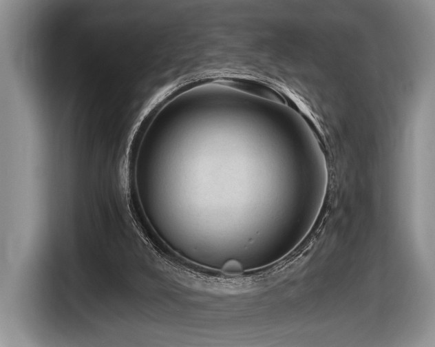 X0000116610008200912111143