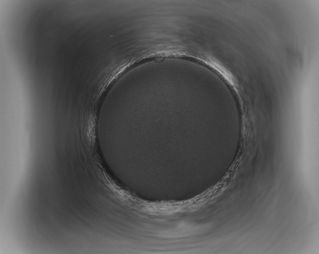 X0000116610009200912111143