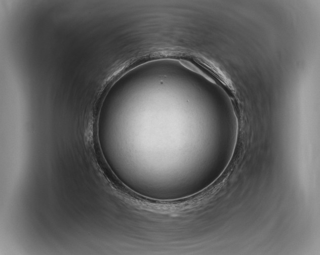 X0000116610010200912111143
