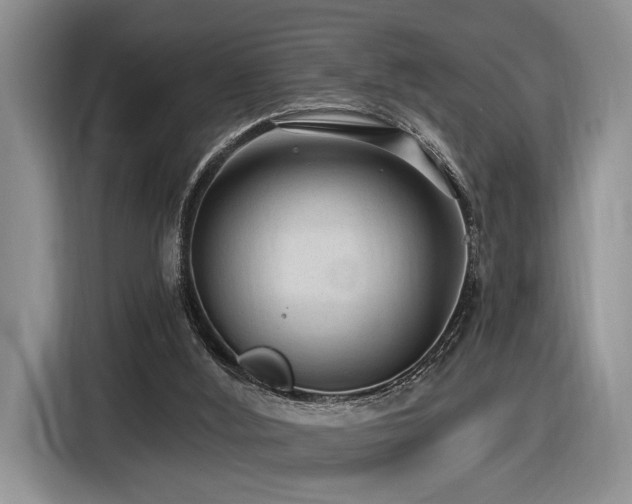 X0000116610012200912111143