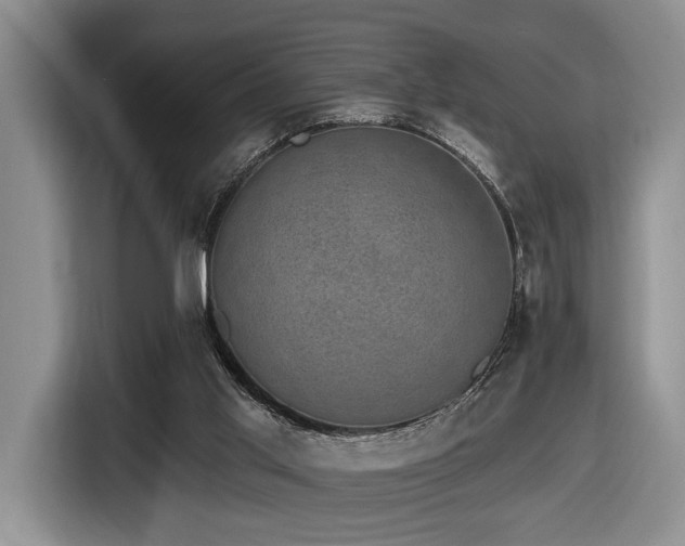 X0000116610013200912111143