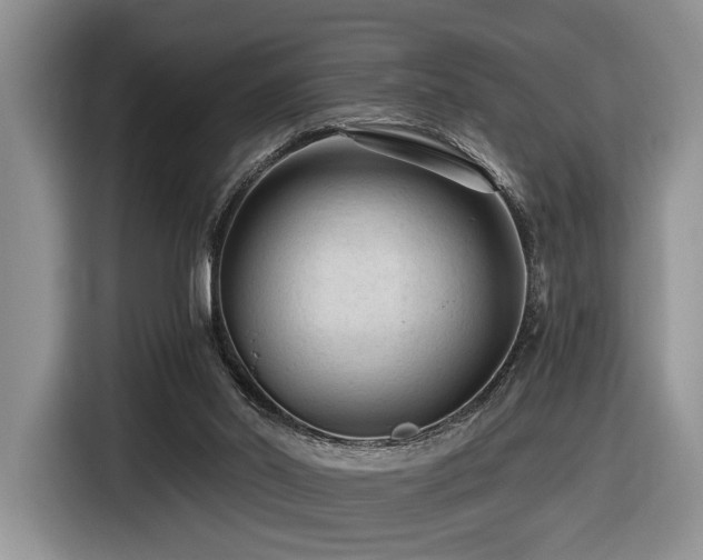 X0000116610014200912111143