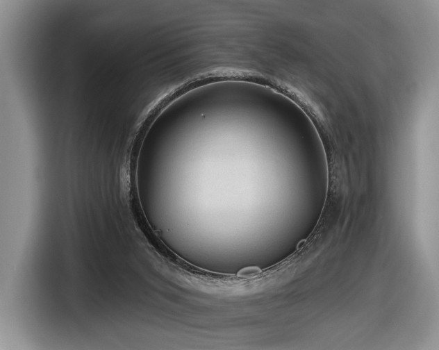 X0000116610015200912111143