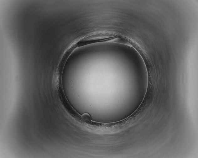 X0000116610016200912111143