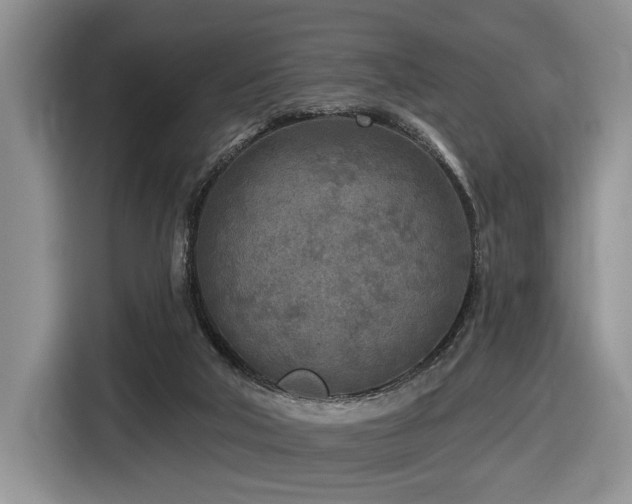 X0000116610018200912111143
