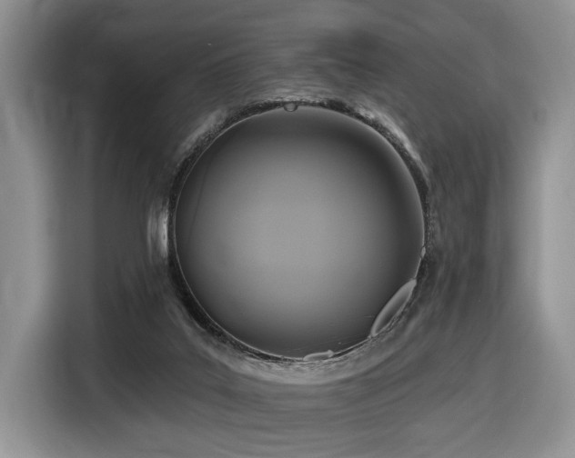 X0000116610019200912111143