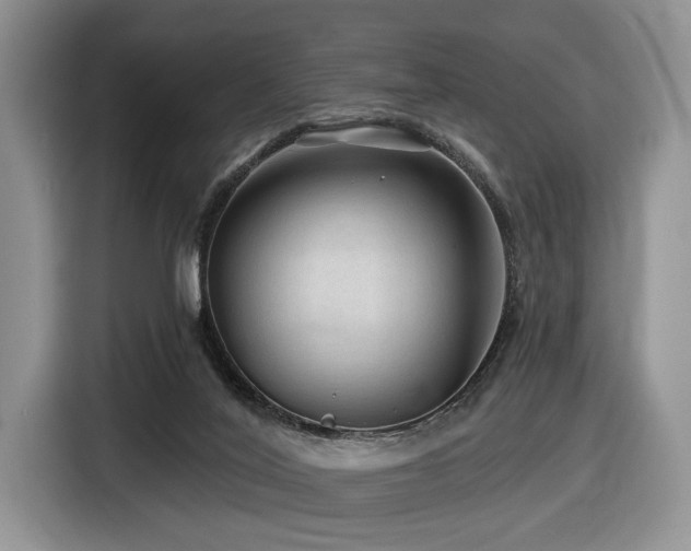 X0000116610020200912111143
