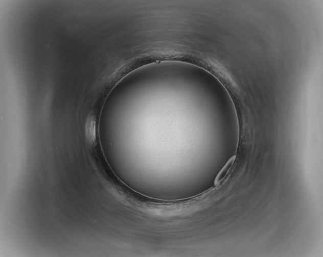 X0000116610021200912111143