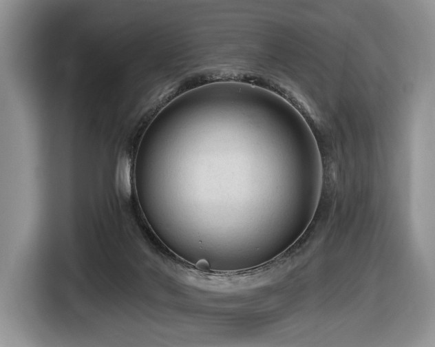 X0000116610022200912111143
