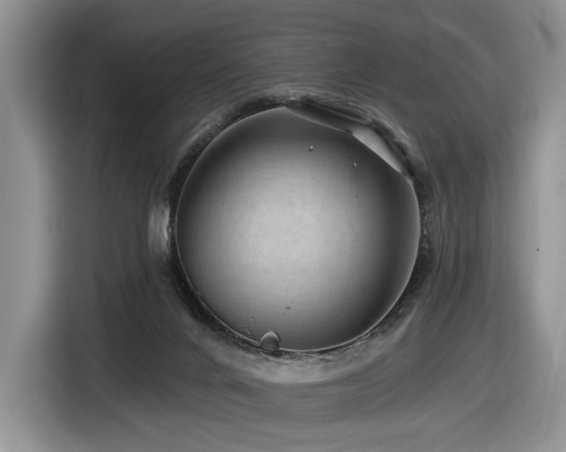 X0000116610024200912111143
