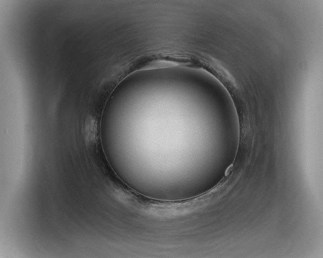 X0000116610025200912111143