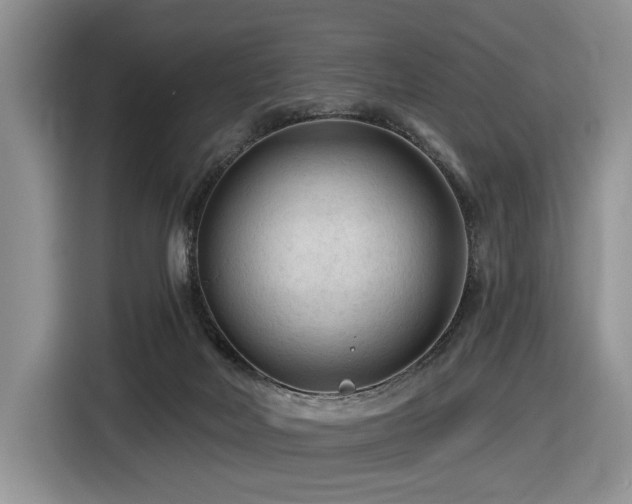 X0000116610026200912111143