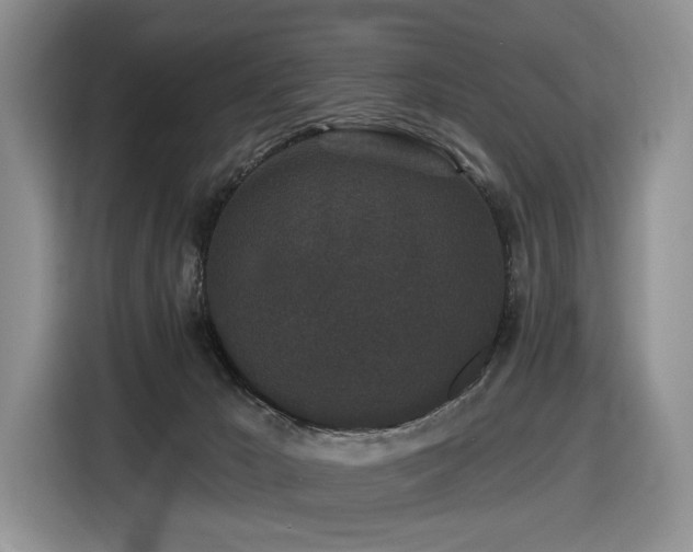 X0000116610029200912111143