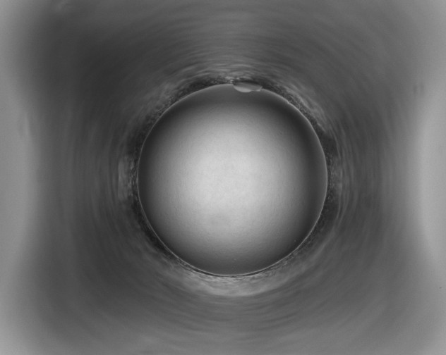 X0000116610030200912111143