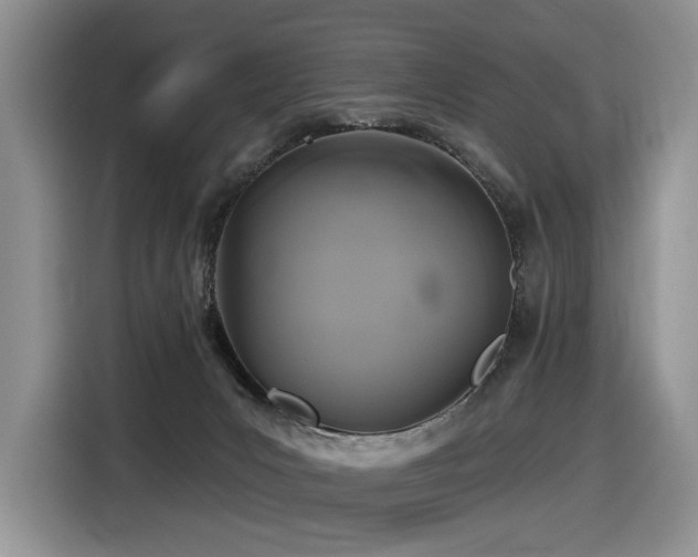 X0000116610031200912111143