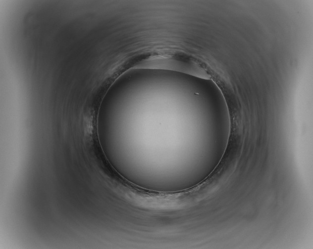 X0000116610032200912111143