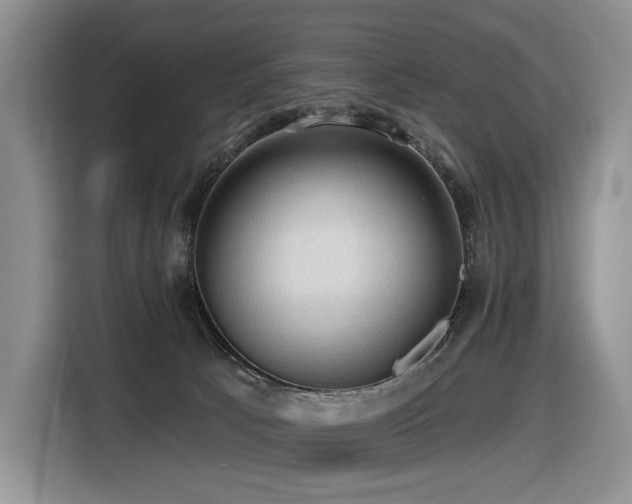 X0000116610033200912111143