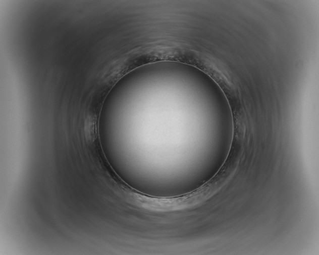 X0000116610034200912111143