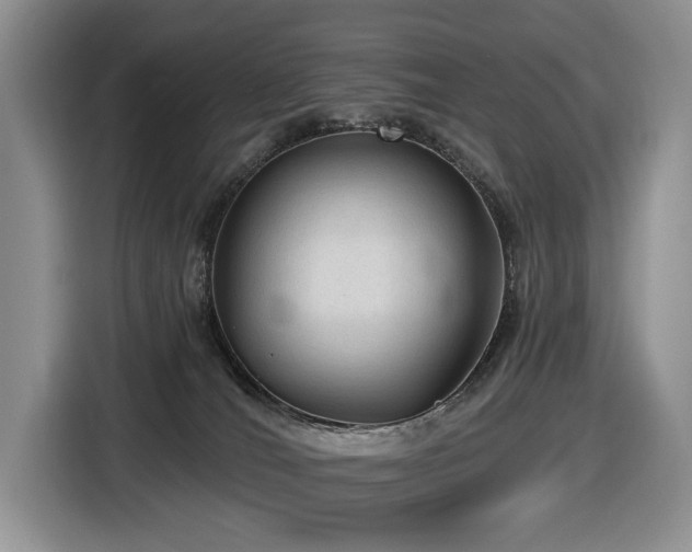X0000116610036200912111143