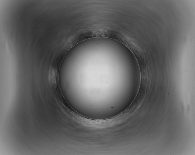 X0000116610038200912111143