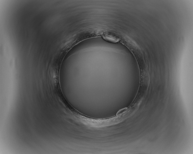 X0000116610039200912111143