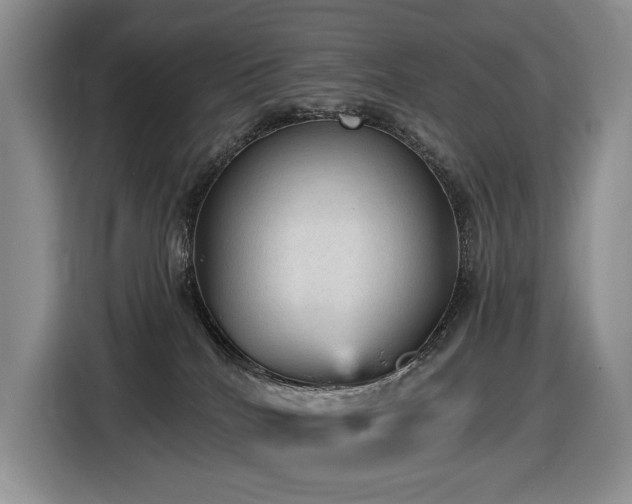 X0000116610040200912111143