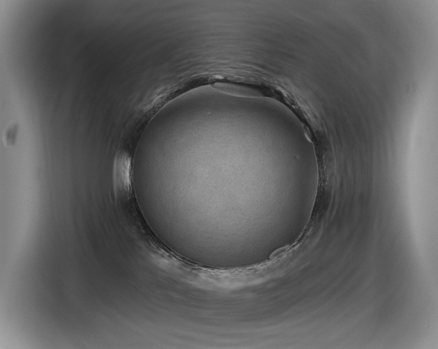 X0000116610041200912111143