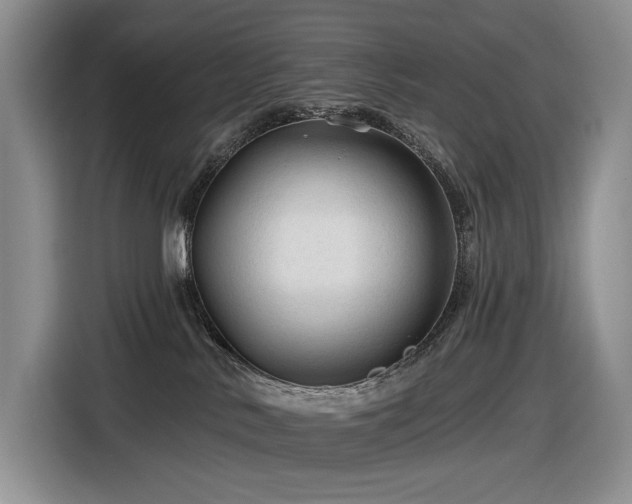 X0000116610042200912111143