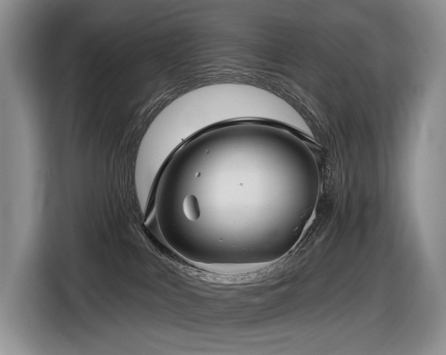 X0000116610043200912111143