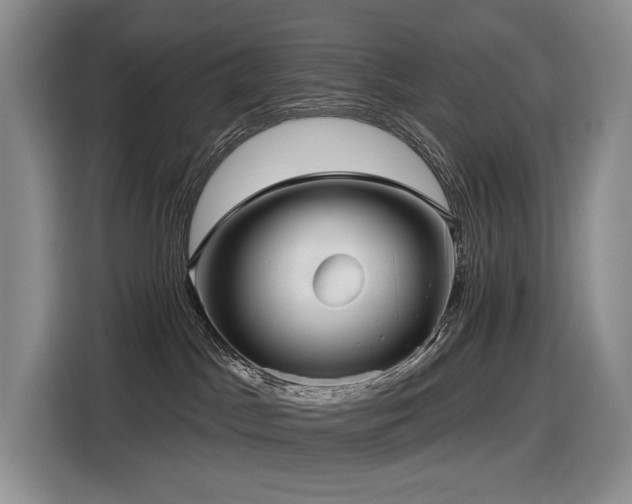 X0000116610045200912111143
