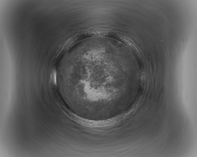 X0000116610046200912111143
