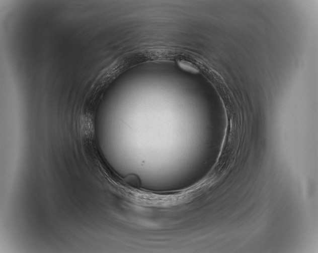 X0000116610048200912111143