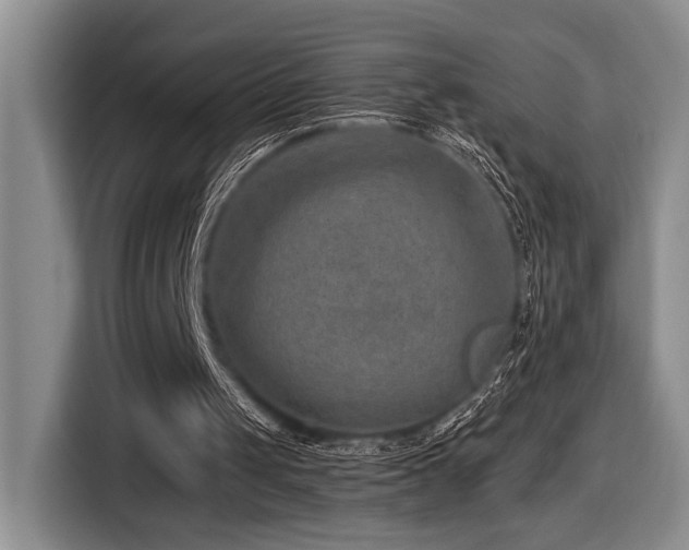 X0000116610049200912111142