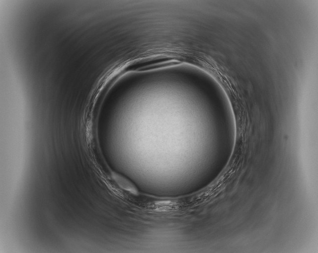 X0000116610050200912111142