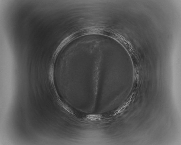 X0000116610051200912111142