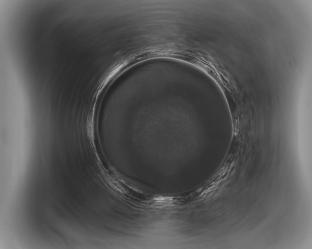 X0000116610052200912111142