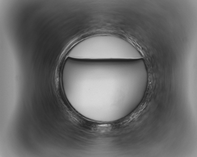 X0000116610053200912111142