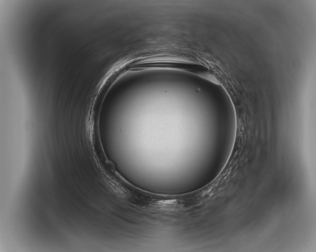 X0000116610054200912111142