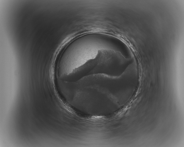 X0000116610055200912111142