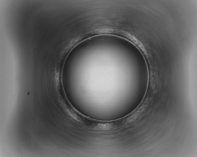 X0000116610057200912111142