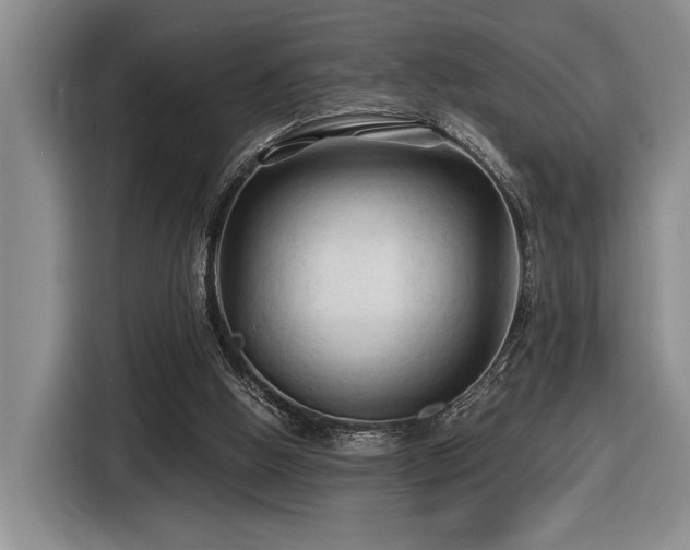 X0000116610058200912111142